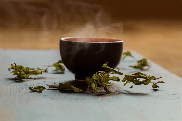 熱波で植物が枯れる前に！見分け方と水やりのコツ